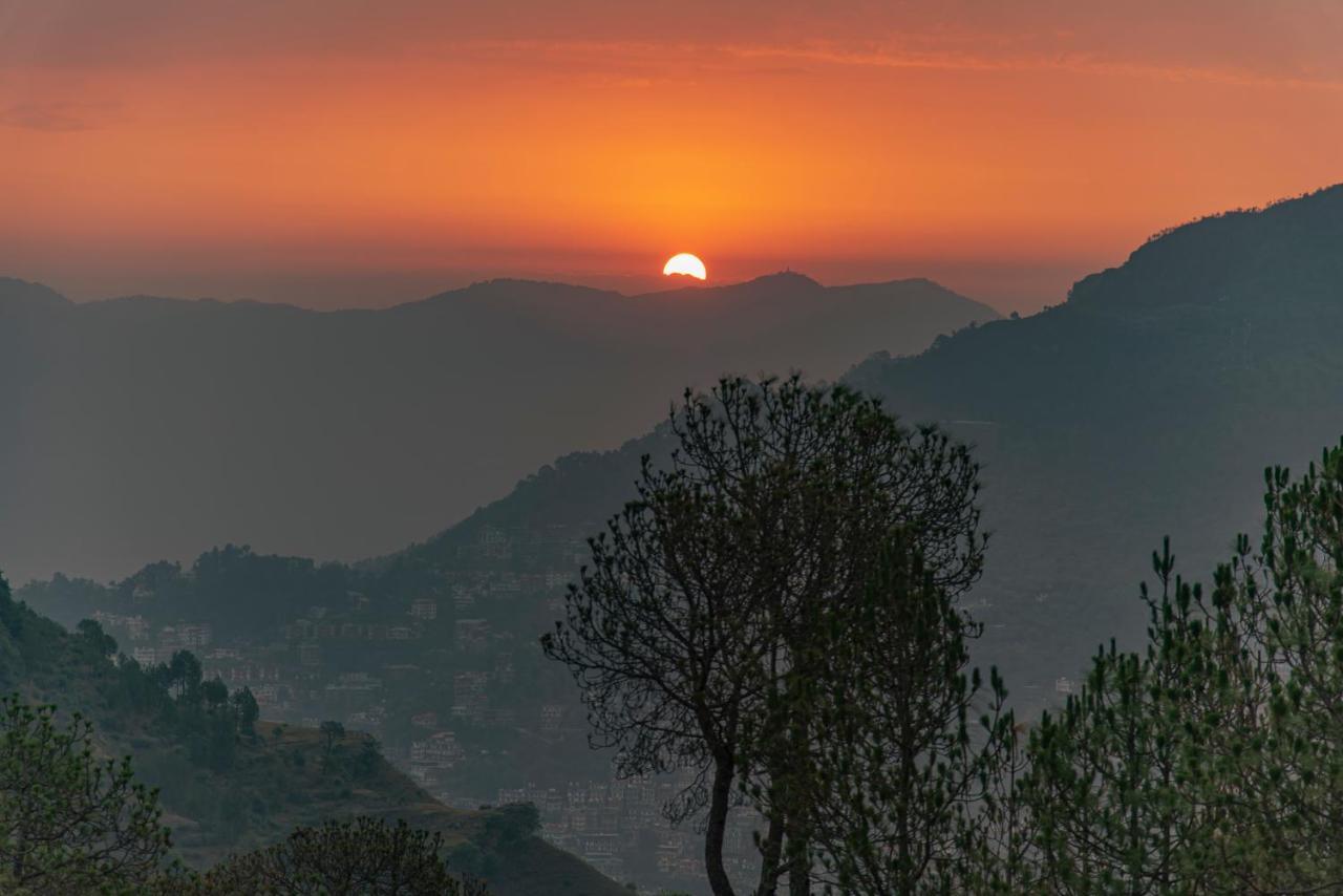 Bed and Breakfast Hillcrest Heights Kasauli Exterior foto